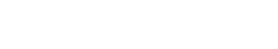 Lumion logo_white